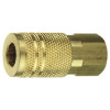 AC20B - 1/4" BRASS NPTF COUPLER