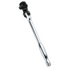 BIR10 - 3/8" DRIVE INDEXIBLE RATCHET