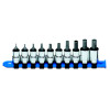 SBXYM10R - 3/8" DRIVE 10 PIECE METRIC HEX BIT DRIVER SET