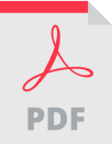 PDF file icon