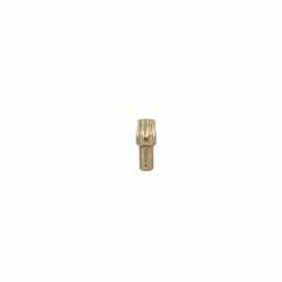 T55 TORX BIT