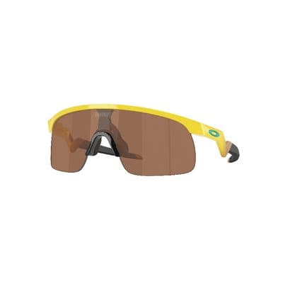 RESISTOR FORTNITE PEELY COLOR AND PRIZM™ TUNGSTEN LENSES