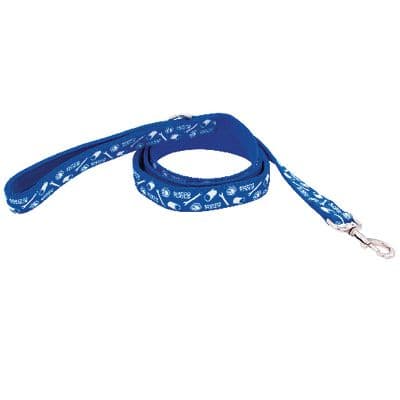48" NYLON DOG LEASH, BLUE