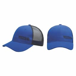 BLUE LOGO HAT