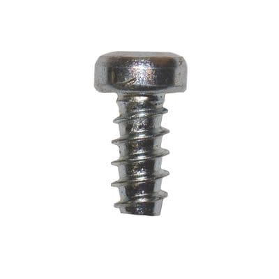 ORGANIZATION ACCESSORY SCREWS 100PK
